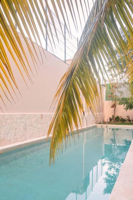 Apartamento Increible Loft Cerca De La Playa Playa del Carmen