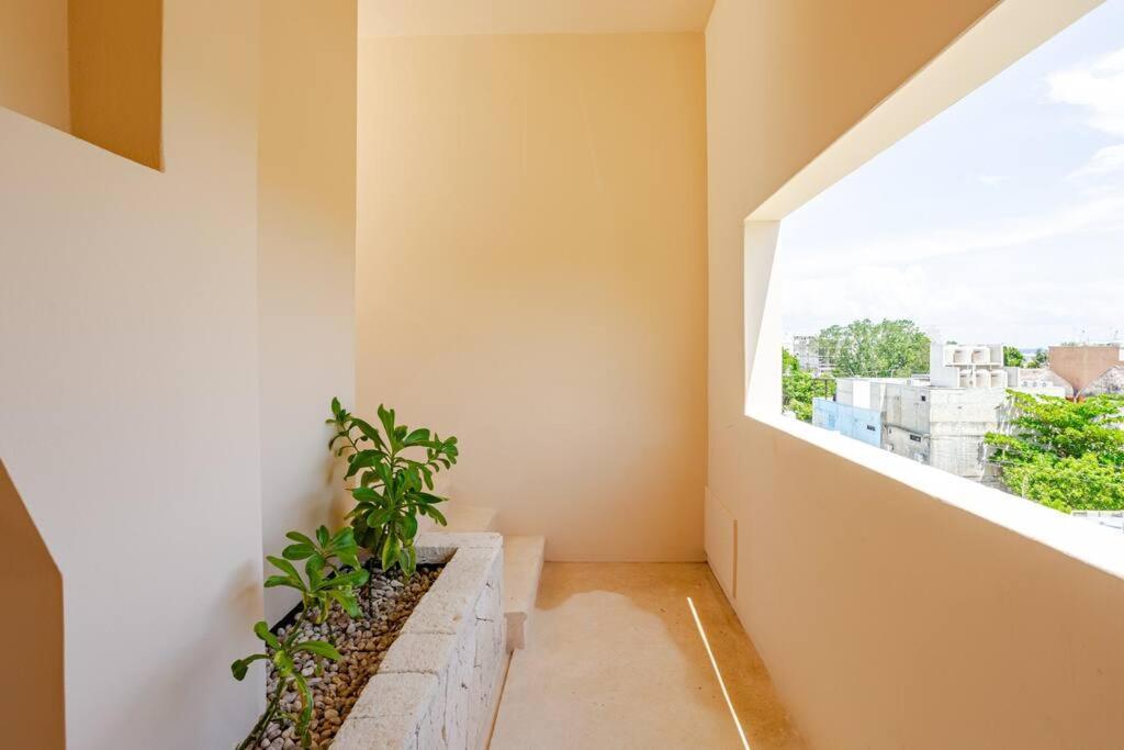 Increible Loft Cerca De La Playa Playa del Carmen